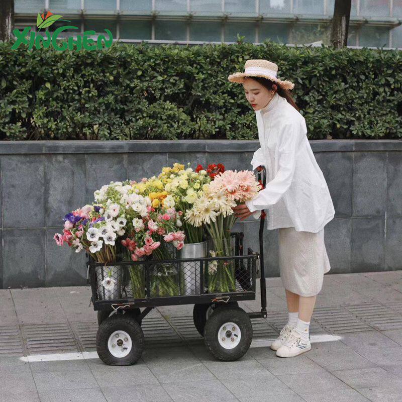 The economic stroller at the stall is at the mercy of a flower cart floral cart floral cart floral cart flowers with flower racks to spend with the car