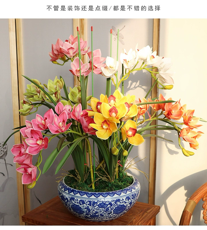 cây trúc giả PU cao cấp mô phỏng phong lan Clivia Phalaenopsis lá trang trí cắm hoa cây xanh trang trí phòng khách cây trồng trong chậu anthurium cây giả đẹp chậu hoa giả để bàn