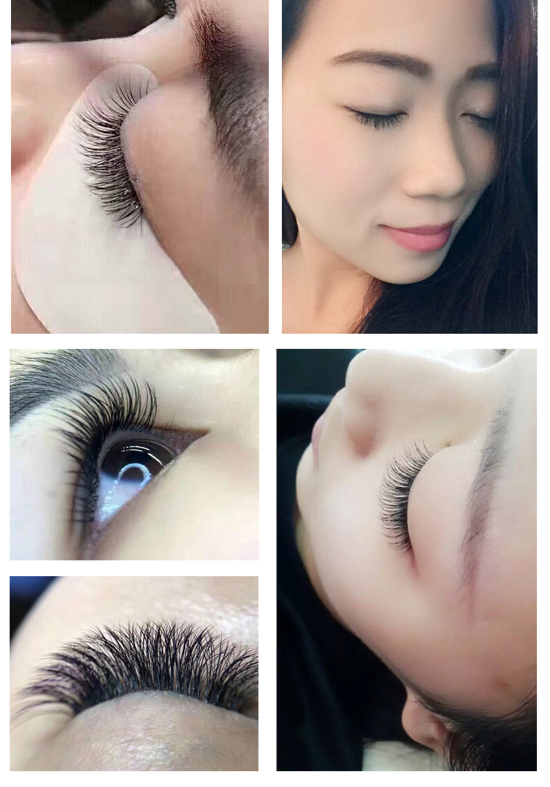 Mane Camellia Một lần nở hoa Thứ hai Lông mi giả Làm đẹp Lông mi Ghép lông mi Công cụ tự ghép Bộ trồng mi giả vacosi