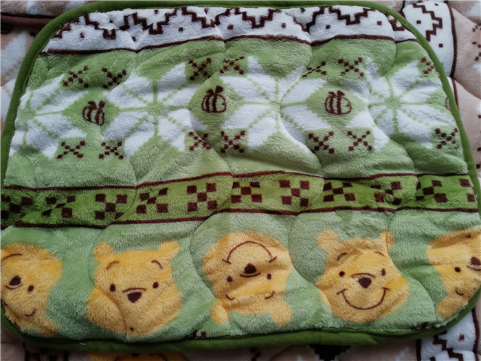Vàng bán huy chương [] Winnie the Pooh trẻ em ấm flannel gối bao gồm gối mảnh 35 * 50cm - Khăn gối áo gối lụa
