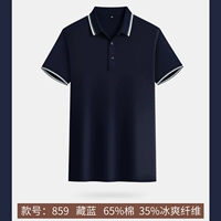 Тибетские 859 модели