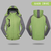 Плель пушистой травы зеленый