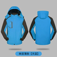 Сингл -Лейер Тансан