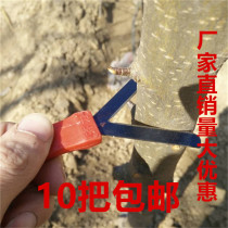 Qili brand Y-ring cutter carving knife ring cutter fruit tree tool ring branch shears factory direct sales Yongdezu