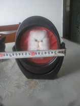  During the Cultural Revolution the back of the old mirror the cat velvet painting theme antiques antiques old objects old mirrors collection and use