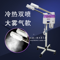 Taedong Steamed Face Instrumental Beauty Ritual home Steamed Noodles Single-Pipe Beauty Salon Cold And Hot Spray Machine Steam Cold Spraying Machine