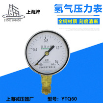 YTQ-60 Hydrogen Pressure Gauge Hydrogen Cylinder Pressure Reducing Valve Head Shanghai Reducer Factory Direct Sales