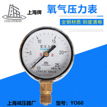 Shanghai pressure reducer factory oxygen meter head YO60 2 5 25 4 oxygen pressure reducer pressure gauge Shanghai brand