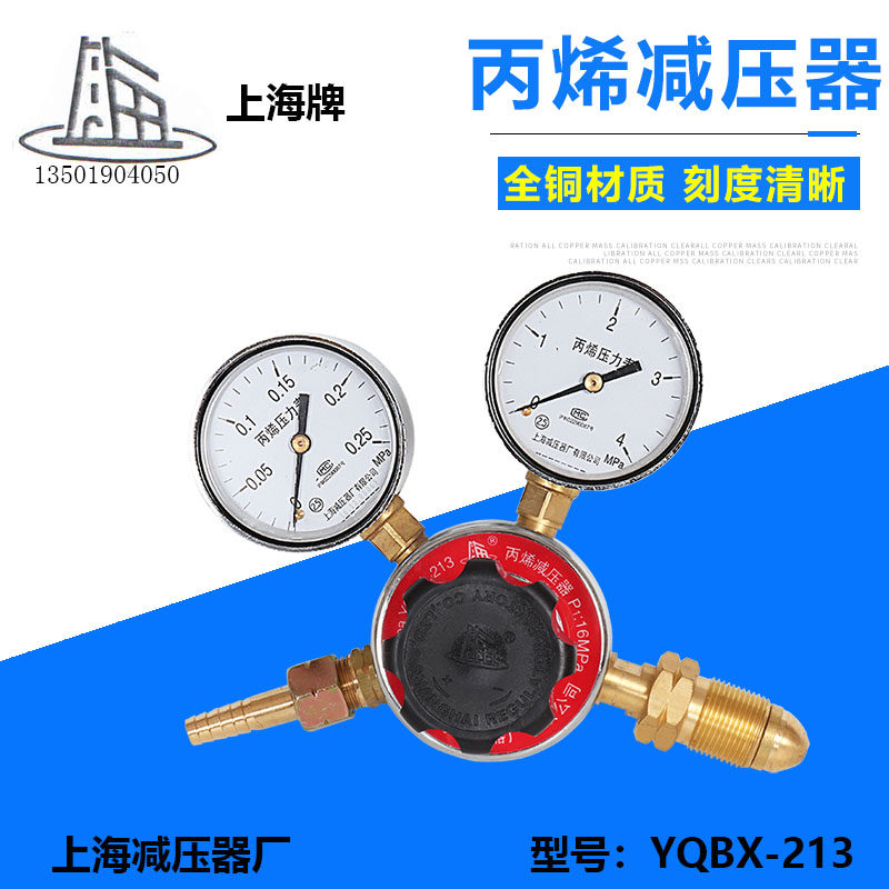 YQBX-213 PROPYLENE PRESSURE REDUCTION PRESSURE METER PROPYLENE PRESSURE REGULATING VALVE 0 25x4MPa PRESSURE REGULATOR
