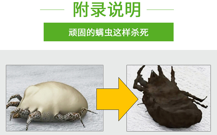 Ngoài túi mạt tự nhiên dán vào mạt nhân tạo, ngoài mite dán giường ngủ không phải thảo dược pad Trung Quốc kiểm soát lũ - Thuốc diệt côn trùng chai xịt côn trùng