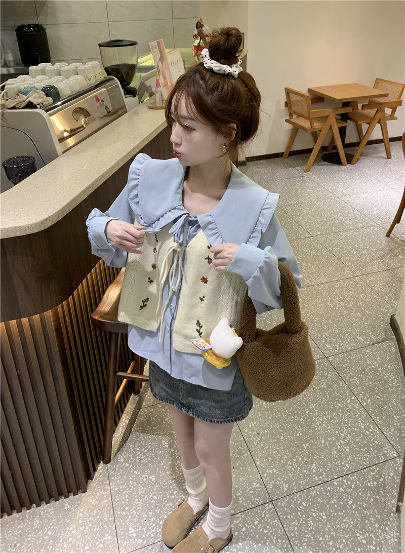 Стильные костюмы 春季穿搭套装2024女装甜美娃娃领长袖衬衫减龄刺绣针织马甲两件套 OTHER