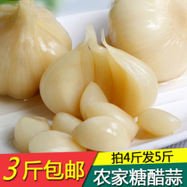 Sweet and sour garlic garlic farmers self-pickled sweet sugar garlic homemade Shandong garlic pickles 3 pounds buy 4 get 1