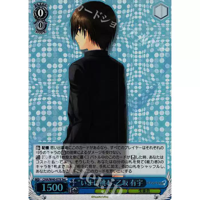 WS 魔法少女奈叶20周年SSP St.ヒルデ魔法学院アインハルト