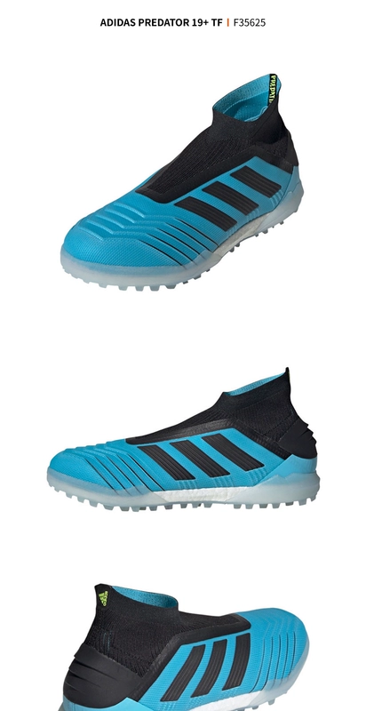 Adidas Adidas PREDATOR 19+ TF nail nail nail giày bóng đá cao cấp nam F35625 - Giày bóng đá