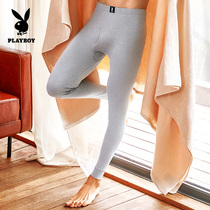 Playboy autumn pants mens thin cotton autumn and winter wear cotton wool pants bottoming trend warm pants