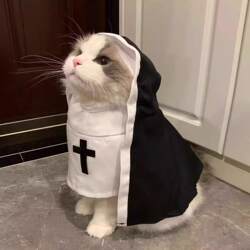 Cat Nun Suit Halloween Kitten cos Transformation Suit Small Size Dogs Photo Funny Funny Puppy Pet Costume