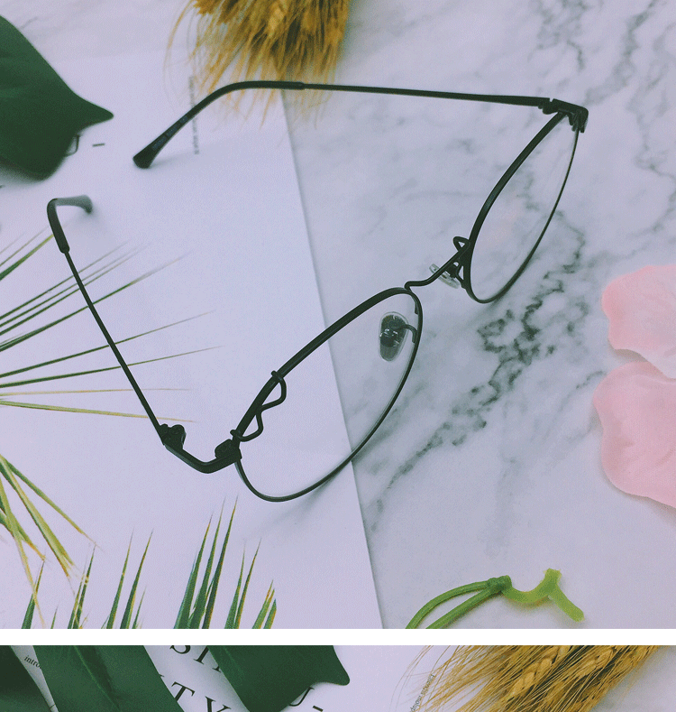 Montures de lunettes en Alliage de nickel - Ref 3139856 Image 19