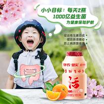  Huanong Yiliduo university specialty active low-temperature lactic acid bacteria beverage 25 bottles box-packed after-dinner milk beverage