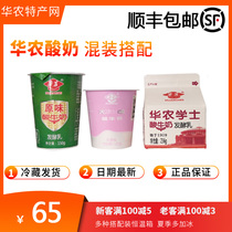  Huanong yogurt set original flavor without added sugar yogurt set with Guangzhou university specialty FCL new product explosion