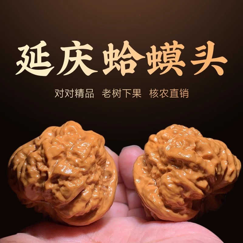 Yanqing golden toad old tree clammy head walnut Wen playing lion's head Changping stuffy collection grade Huairou disc playing handlebar piece-Taobao