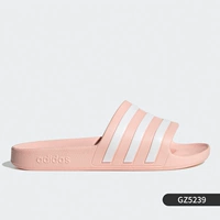 GZ5239