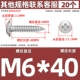 M6*40 (20)