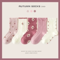 ML24-8114 Розовая роза [весна и осенние хлопковые носки] 5 пар