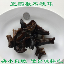 Premium autumn ear deep mountain Basswood black fungus Wild autumn ear Sheng Northeast Changbai Mountain fungus specialty dry goods 500 grams