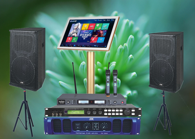 Real Body Shop Running Home Ktv Speaker Points Song Machine Suit Stage Speaker Suit Outdoor Wedding Celebration suit