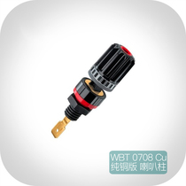 Original dress German WBT 0708 Cu pure copper version HiFi fever speaker horn power amplifier