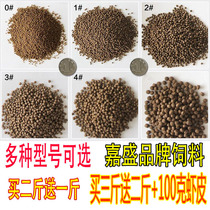 Fujian Jiasheng turtle feed turtle feed bulk tortoise grain grass turtle Turtle Feed 1 Jin