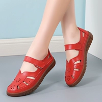 Красный арбуз