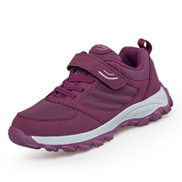 2913 Женский фиолетовый