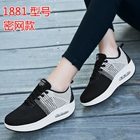 1881 середина -серая черно -серая