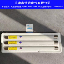 Chu Melting XRNP1 Protection Transformer 20kV 24kV 0 5A1A2A3 15A5A High Pressure Flow Restrictor