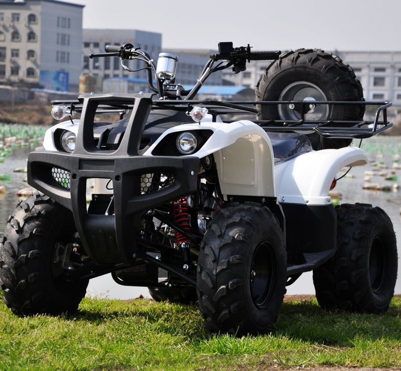 Brp xmr 1000r. квадроцикл лесной. Pm 500 квадроцикл. квадроциклы приморье. стелс гепард зимой.