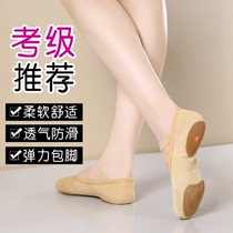 Lace-free camel dance shoes womens soft-soled ballet shoes special fly-woven elastic yoga shoes for adult body examinations