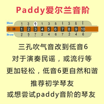 Professional change paddy scale Irish scale tuning repair harmonica ten-hole harmonica Blues