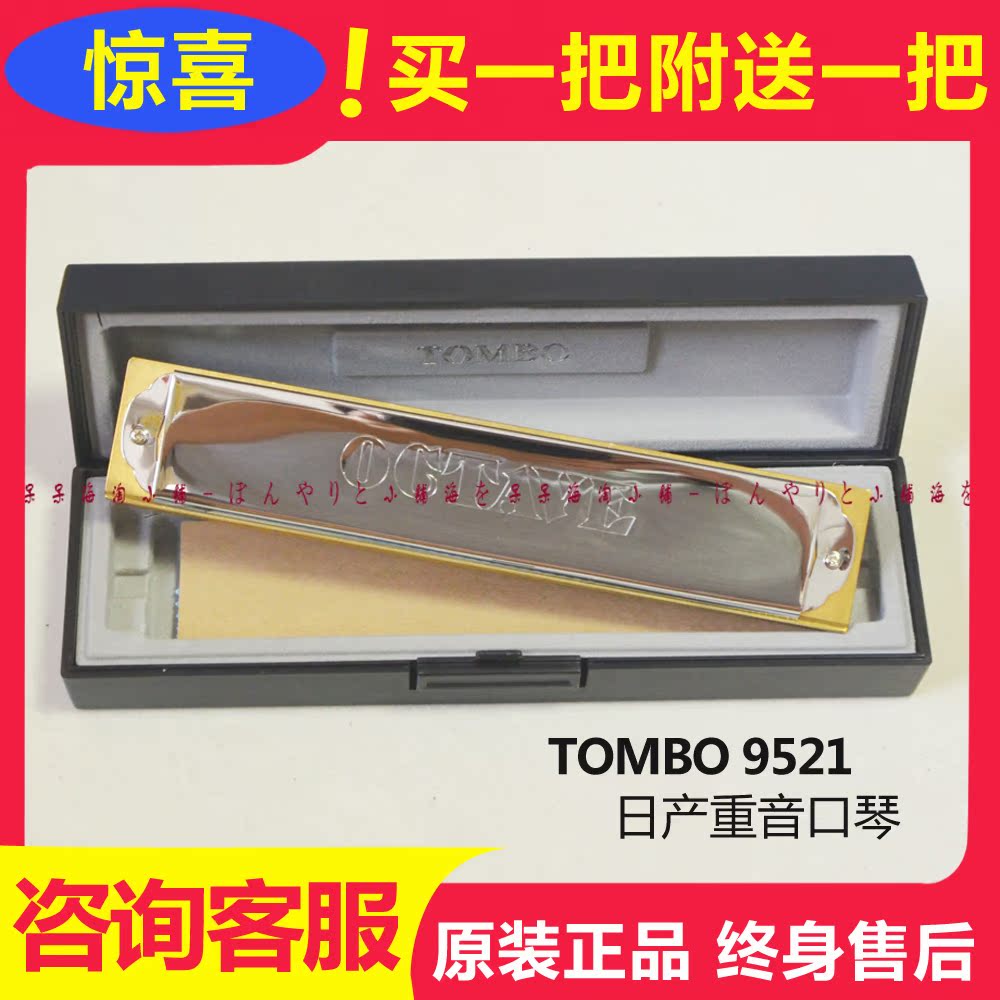 Imported No 9521 (OCTAVE) 21-HOLE Accented Harmonica Gift Instrument