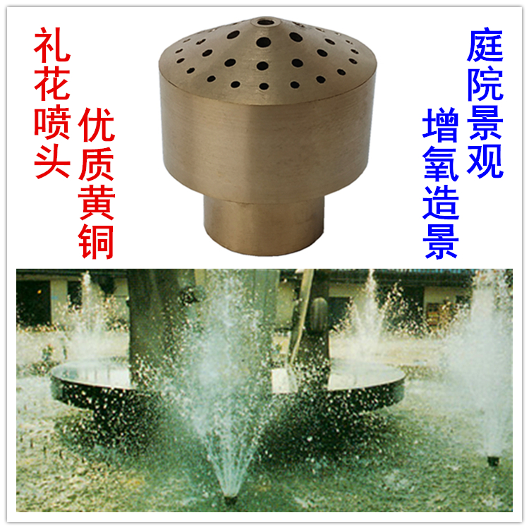 4 points 6 points brass Lilly shower nozzle Porous Scattering Fountain Head Park Pool Lotus Punt Head Waterscape Nozzle Head 
