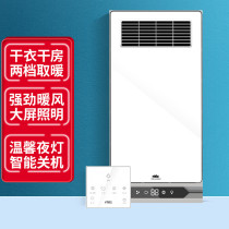 Regez Lighting Multifunction Speed Hot Air Warm Bath Bully Integrated Ceiling toilet Embedded warm air bath bully lamp