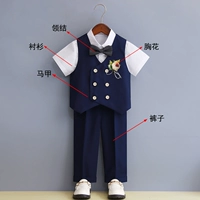 Синий комплект, рубашка, жилет, штаны, галстук-бабочка на лацкан, 3 предмета