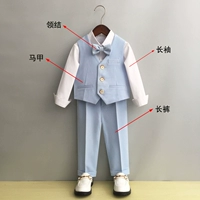 Синий жилет, штаны, рубашка, галстук-бабочка