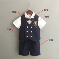 Синий комплект, рубашка, жилет, шорты, галстук-бабочка на лацкан, 3 предмета