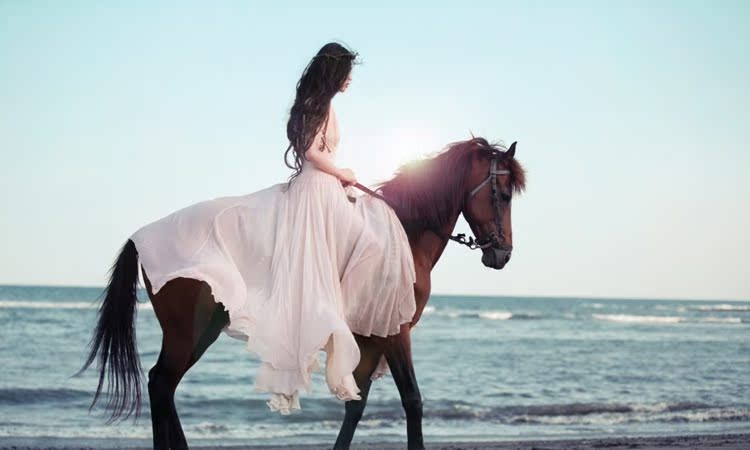 Sangles pour lingerie - Ref 802861 Image 11