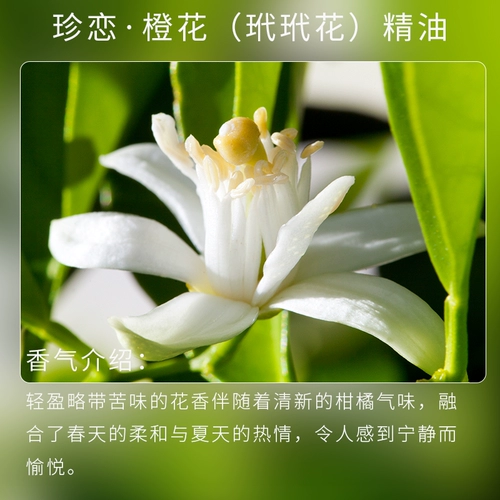 珍恋 Масло, увлажняющий массажер для ухода за кожей, аромотерапия, омоложение кожи