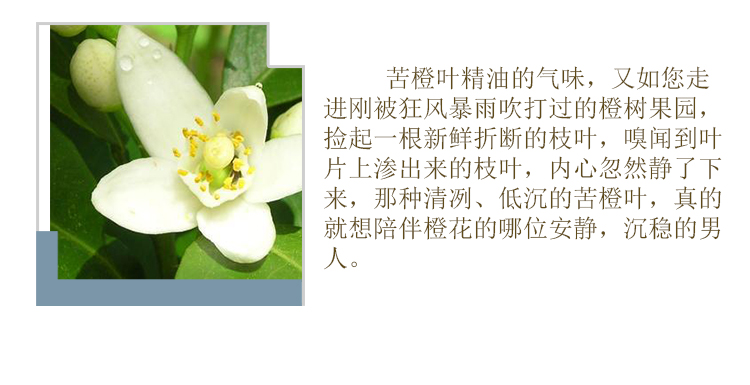 Zhenlian nguyên chất đơn phương trở lại màu xanh lá cây cam đắng lá cam thiết yếu Hương liệu ngủ làm đẹp chăm sóc da dầu kiểm soát chính hãng 10ml - Tinh dầu điều trị tinh dầu bạc hà