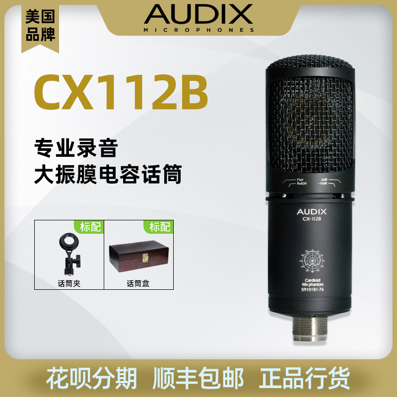 SF USA AUDIX CX112B musical robot vocal instrument guitar choral microphone