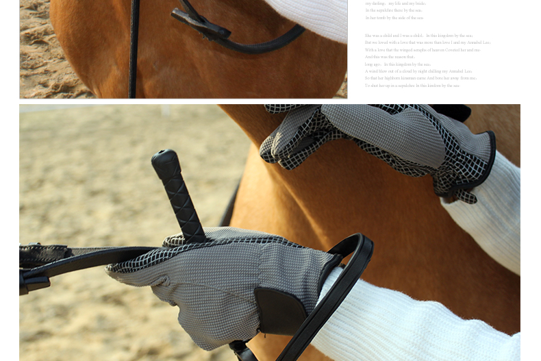 Article équitation BASLONG - Ref 1379793 Image 16