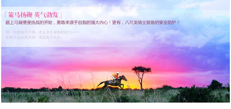 Article sports equestres BASLONG - Ref 1381252 Image 9